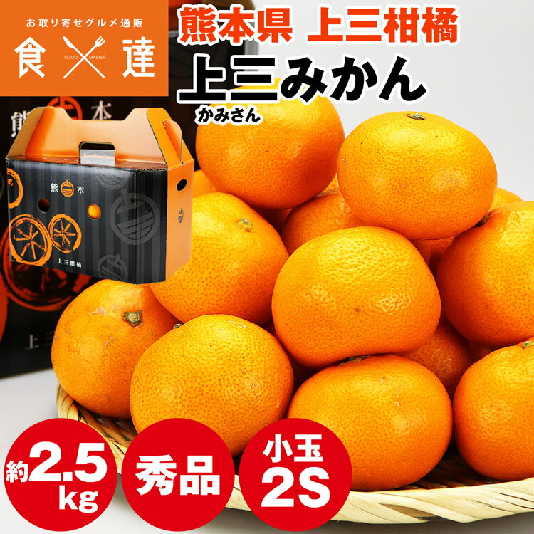 みかん 2.5kg 熊本県産 小玉みかん 小粒 秀 上三みかん 完熟 熊本みかん 2Sサイズ 蜜柑 ミカン 産地直送 産直 常温便 同梱不可 指定日不可