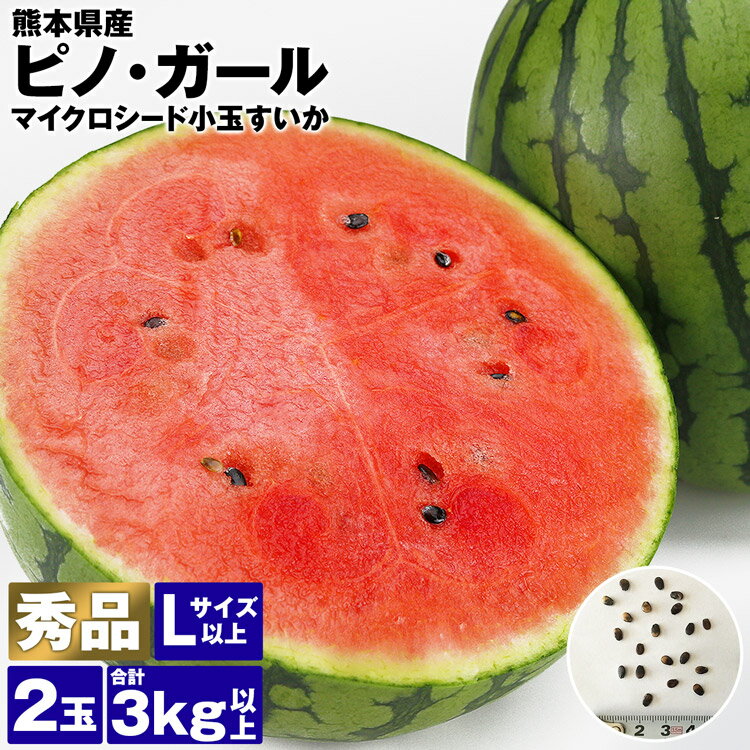 すいか 小玉 ピノ・ガール マイクロシード 2玉 合計3kg以上 秀 Lサイズ以上 熊本県産 スイカ 西瓜 ピノガール 常温便 同梱不可 指定日不可
