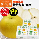 梨 幸水 3箱セット 18玉 約6kg (1箱あたり6玉約2kg) 3Lサイズ 青秀以上 贈答用 ギフト 三水 ナシ こうすい 冷蔵便 同梱不可 指定日不可