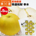 梨 幸水 5kg 10〜16玉 2L〜5Lサイズ 青秀以上 産地厳選 贈答用 ギフト 和梨 三水 ナシ こうすい 冷蔵便 同梱不可 指定日不可
