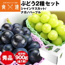 ぶどう ギフト 2種詰め合わせ 2房(1房×2種) 900g以上 シャインマスカット ナガノパープル 種無し 秀 産地厳選 贈答用 露地栽培 冷蔵便 同梱不可 ...