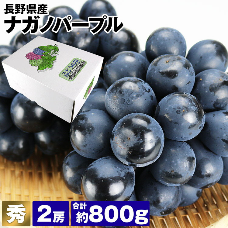 ナガノパープル 2房 秀 長野県産 贈答用 800g 種なし 皮ごと ぶどう ブドウ 葡萄 露地栽培 種無し 冷蔵便 同梱不可 指定日不可