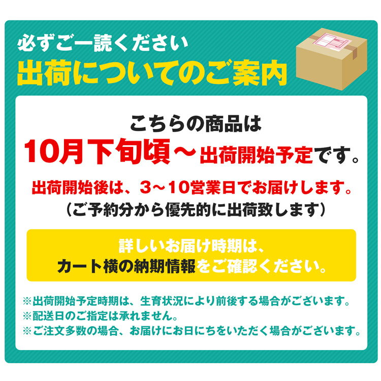 りんご 10kg ジョナゴールド 秀 岩手県産 32〜40玉 ギフト りんご リンゴ 林檎 常温便 同梱不可 指定日不可