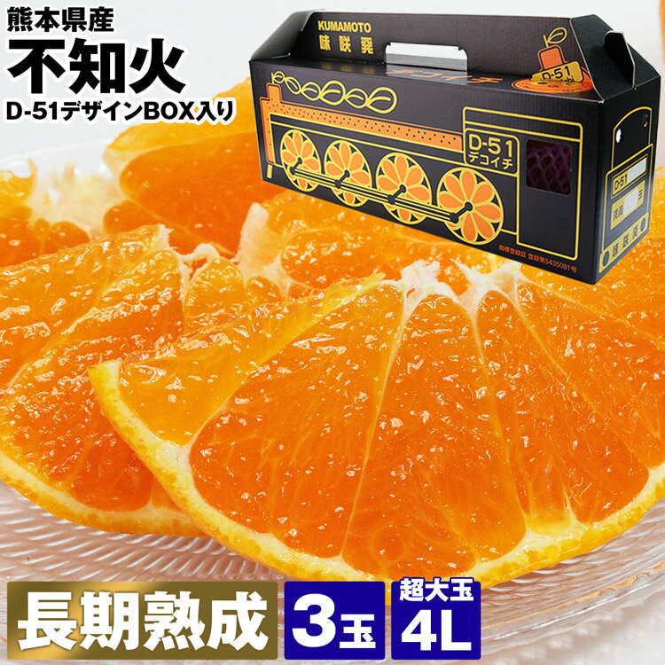 不知火 3玉 約900g 4Lサイズ 熊本県産 化粧箱 デゴイチ デコイチ しらぬい みかん 贈答用 ギフト SL 蒸気機関車 D51 常温便 同梱不可 指定日不可