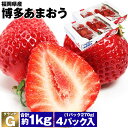 あまおう いちご 福岡 ご家庭用 G 4パック 約1kg (1パック約270g×4) 博多あまおう グランデ イチゴ 苺 冷蔵便 同梱不可 指定日不可