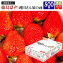 いちご 徳島県産 岡田さん家の苺 約500g 12-15粒 秀品 さがほのか 化粧箱入り 冷蔵便 同 ...