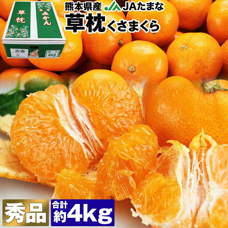 みかん 4kg 熊本県産 草枕 秀品 青秀以上 S/M/Lサイズ JAたまな くさまくら 夏目漱石 ミカン 蜜柑 柑橘 常温便 同梱不可 指定日不可のサムネイル