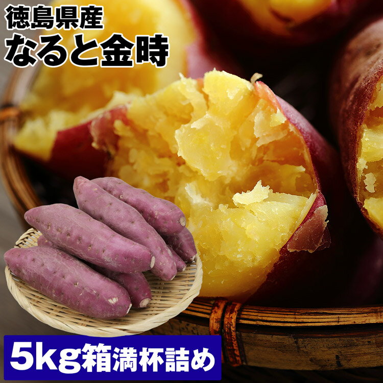 なると金時 5kg箱満杯詰め Lサイズ 16〜19本程度 徳島県産 さつまいも 鳴門金時 常温便 同梱不可 指定日不可