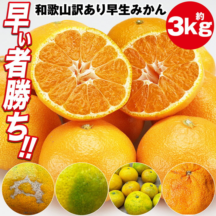 ߤ  3.1kg (3kg+ݾʬ150g) ²λ ߤ ߤ ߥ ̪  櫓 ﲹ ƱԲ Բ