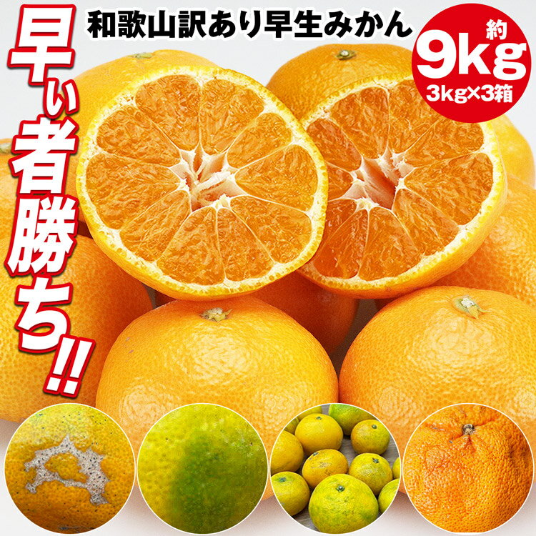みかん 訳あり 9.4kg (9kg+保証分450g程度) 3kgx3箱セット 和歌山県産 早生みかん 温州みかん ミカン 蜜柑 柑橘 わけあり 常温便 同梱不可 指定日不可(4)