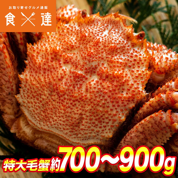 毛蟹 毛がに ケガニ 蟹 カニ かに ロシア産 毛ガニ1尾 約700g～900g 大サイズ