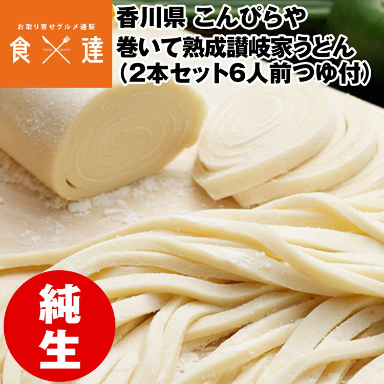 うどん さぬきうどん 讃岐うどん 2本セット 6人前 巻いて熟成讃岐家うどん つゆ付 琴線 産地直送 常温便 同梱不可 指定日不可 産直