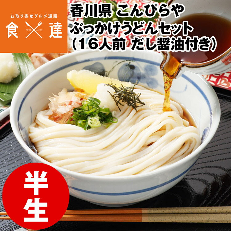 うどん さぬきうどん 讃岐うどん 16人前 だし醤油500ml付 ぶっかけ 半生麺 産地直送 常温便 同梱不可 指定日不可 産直