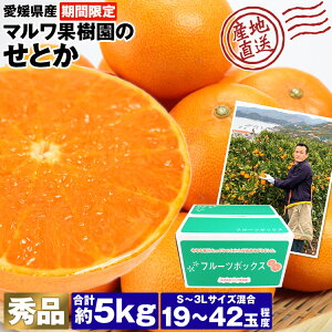 せとか 5kg 愛媛県産 秀品 高級 柑橘 19～42玉程度 S～3Lサイズ混合 マルワ果樹園 産地直送 蜜柑 みかん ミカン 常温便 同梱不可 指定日不可