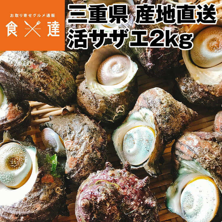 活 サザエ 天然 2kg 新鮮 コリコリ お刺身 つぼ焼き 三重県産 冷蔵便 お取り寄せグルメ 水谷水産 贅沢 食品 ギフト 海鮮 産直