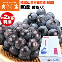 巨峰 特選 2kg 和歌山県産 種有り 5房程度 皇室献上 高品質 森園 ブドウ 葡萄 化粧箱 産直 産地直送 冷蔵便 同梱不可 指定日不可