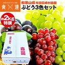 ぶどう3種 詰め合わせ セット 特選 2kg シャインマスカット 巨峰 赤嶺 和歌山県産 5房程度 皇室献上 食べ比べ 化粧箱 産直 産地直送 冷蔵便 同梱不可 指定日不可