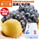 巨峰 梨 詰め合わせ セット 旬 特選 2kg 和歌山県産 種有り 皇室献上 高品質 森園 化粧箱 産直 産地直送 冷蔵便 同梱不可 指定日不可