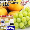 シャインマスカット 梨 詰め合わせ セット 旬 特選 2kg 和歌山県産 ぶどう 皇室献上 高品質 森園 化粧箱 産直 産地直送 冷蔵便 同梱不可 指定日不可