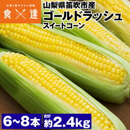 ゴールドラッシュ 2.4kg 山梨県産 朝採り スイートコーン とうもろこし 産直 冷蔵便 同梱不可 指定日不可