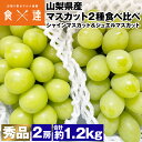 シャインマスカット ジュエルマスカット セット 1.2kg 山梨県産 ぶどう 糖度18度以上 ブドウ 葡萄 マスカット 常温便 同梱不可 指定日不可 産直