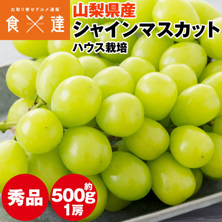 Other - シャインマスカット 500g 1房 山梨県産 ハウス栽培 種無し ぶどう 葡萄 ブドウ マスカット 常温便 同梱不可 指定日不可 産直