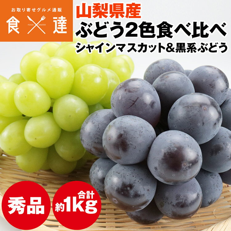 シャインマスカット 黒系ぶどう 食べ比べセット 1kg (各1房) 山梨県産 秀品 ギフト 贈答 冷蔵便 同梱不可 指定日不可 産直