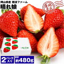 ゆめのか いちご 2パック 合計約480g 22粒 晴れ娘 岡山県産 贈答用 ギフト 産地直送 イチゴ 苺 ブランド フルーツ 果物 産直 冷蔵便 同梱不可 指定日不可 202403ss