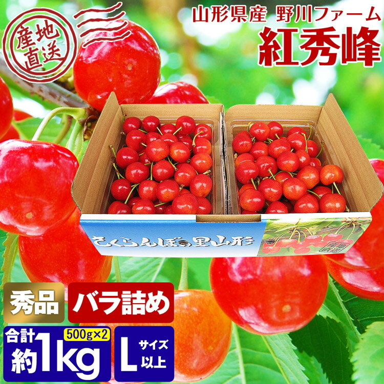 さくらんぼ 紅秀峰 秀 1kg (500g×2) Lサイズ以上 バラ詰め 化粧箱入り 山形県 サクランボ べにしゅうほう 産直 産地直送 冷蔵便 同梱不可 指定日不可