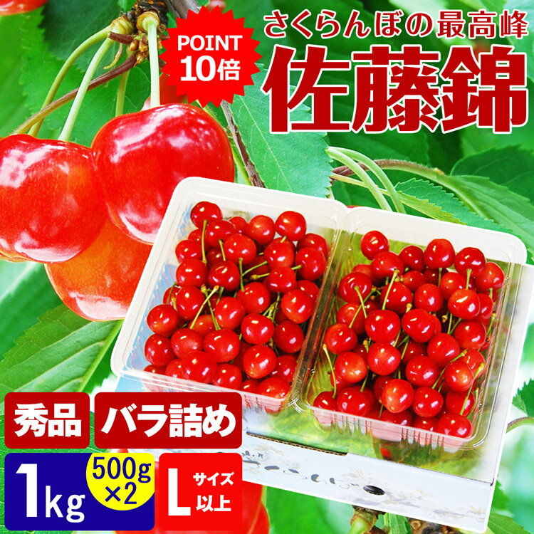 さくらんぼ 佐藤錦 秀 1kg (500g×2) Lサイズ以上 バラ詰め 化粧箱入り 山形県 サクランボ さとうにしき 産直 産地直送 冷蔵便 同梱不可 指定日不可