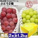 シャインマスカット クイーンニーナ 食べ比べ 2種 ぶどう 詰め合わせ 2房 1.2kg 秀品 岡山県産 贈答用 化粧箱 産直 産地直送 冷蔵便 同梱不可 指定...