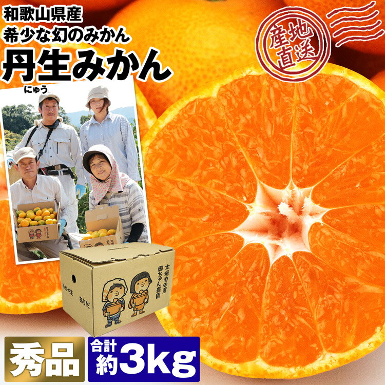 丹生みかん 3kg 和歌山県産 秀品 にゅうみかん S～2Lサイズ混合 岡ちゃんみかん 岡ちゃん農園 岡本農園 蜜柑 ミカン 常温便 同梱不可 指定日不可 産直