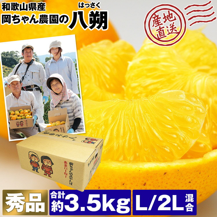 八朔 和歌山 3.5kg はっさく 秀品 11～15玉程度 L/2Lサイズ混合 岡ちゃん農園 岡本農園 産地直送 柑橘 みかん 産直 常温便 同梱不可 指定日不可