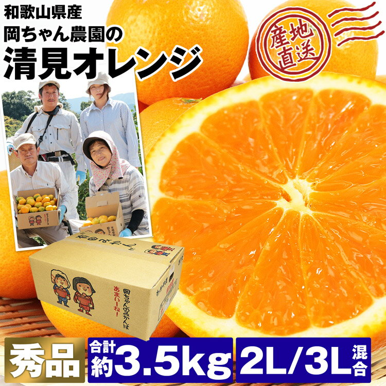 清見オレンジ 和歌山 3.5kg みかん 秀品 13～15玉程度 2L/3Lサイズ混合 岡ちゃん農園 岡本農園 産地直送 柑橘 きよみ フルーツ 果物 常温便 産直