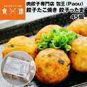 餃子 取り寄せ 餃子たこ焼き 餃子ったま 30g 45個(15個×3パック) メディア掲載 受賞歴 多数! paou 包王 冷凍便 同梱不可 指定日不可 産直