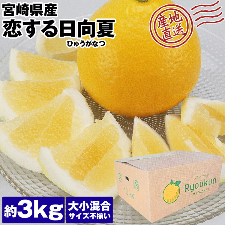 日向夏 国産 宮崎県産 3kg 大小混合 恋する日向夏 ひゅうがなつ 柑橘 減農薬 露地栽培 産直 同梱不可 指定日不可