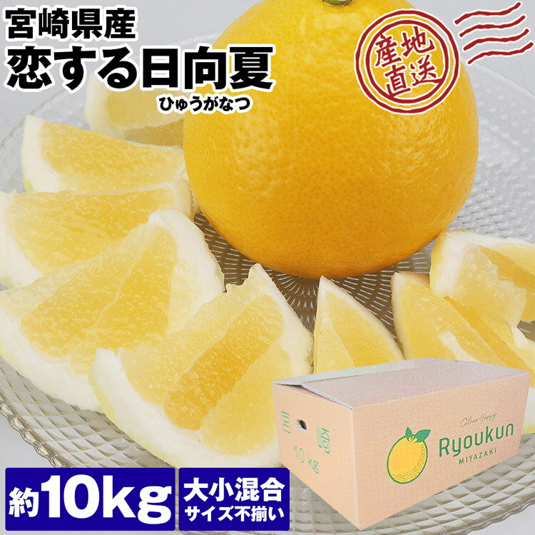 日向夏 国産 宮崎県産 10kg 大小混合 恋する日向夏 ひゅうがなつ 柑橘 減農薬 露地栽培 産直 同梱不可 指定日不可