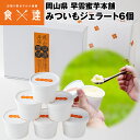 アイスクリーム ギフト 国産 100ml ×6個 セット 早雲蜜芋 さつまいも 焼き芋 スイーツ アイス 冷凍便 同梱不可 指定日不可 産直