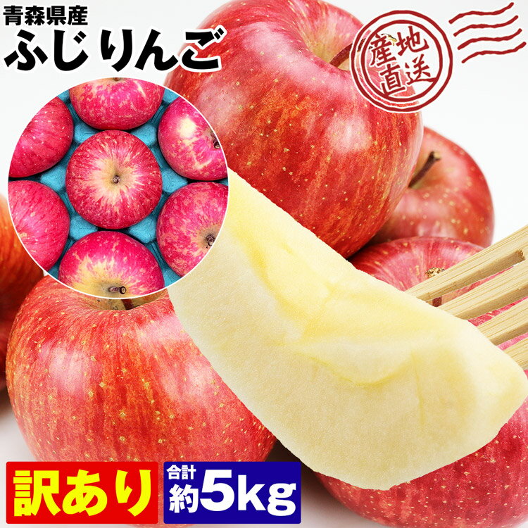 ふじ りんご 5kg 訳あり お徳用 ご家庭用 青森県産 産地直送 マルタカ りんご 林檎 リンゴ 産直 フルーツ 果物 冷蔵 同梱不可 指定日不可