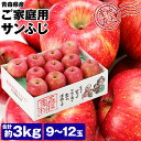 りんご サンふじ 青森県産 ご家庭用 3kg 9～12玉 りんご リンゴ 林檎 ふじりんご 青森りんご 産地直送 指定日不可 同梱不可 産直