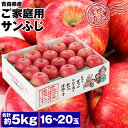 りんご サンふじ 青森県産 ご家庭用 5kg 16～20玉 りんご リンゴ 林檎 ふじりんご 青森りんご 産地直送 指定日不可 同梱不可 産直