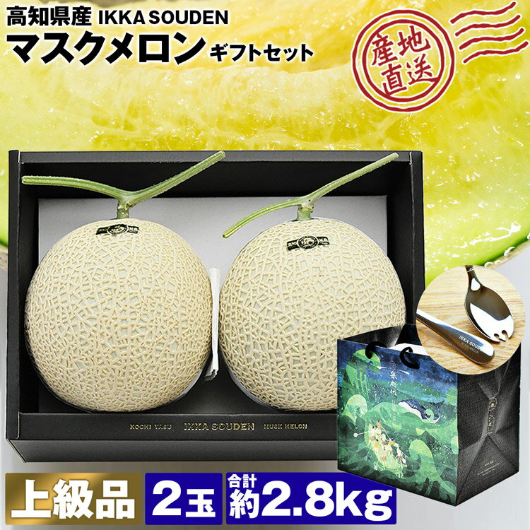 マスクメロン ギフト 高級 2玉 合計2.8kg (1.4kg×2玉) 上級品 産地直送 高知県産 贈答用 産直 常温便 ..