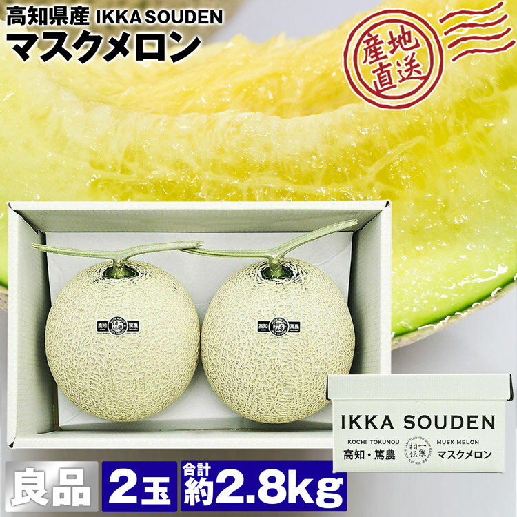 マスクメロン ギフト 高級 2玉 合計2.8kg (1.4kg×2玉) 良品 産地直送 高知県産 贈答用 産直 常温便 同梱不可 指定日不可