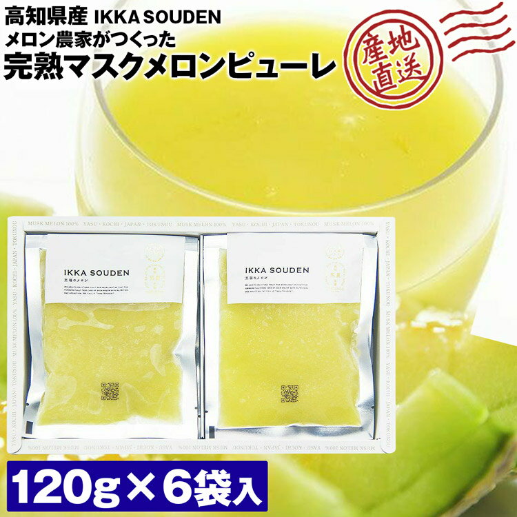 完熟マスクメロンピューレ 冷凍 高級 120g 6袋 ジュース シャーベット 産地直送 高知県産 産直 冷凍便 同梱不可 指定日不可