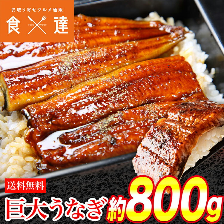 巨大うなぎ蒲焼 2尾 400g前後×2本 かばやき ウナギ うなぎ 土用丑の日 鰻蒲焼 送料無料 冷凍便 お取り寄せグルメ 食品 ギフト