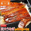 うなぎ 蒲焼き 鰻 約1.6kg (約400g前後×4尾) 4本 特大 巨大 ウナギ かば焼き タレ 冷凍便 ギフト お取り寄せ(4)