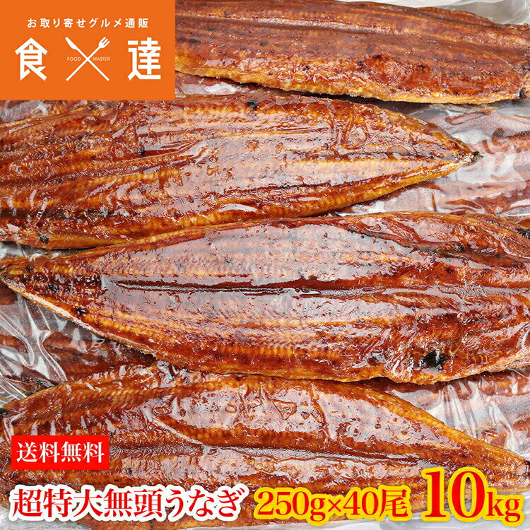 うなぎ 無頭背開き 特大約250g×40尾 10kg 業務用 送料無料 冷凍便 鰻 かば焼き お取り寄せ ギフト