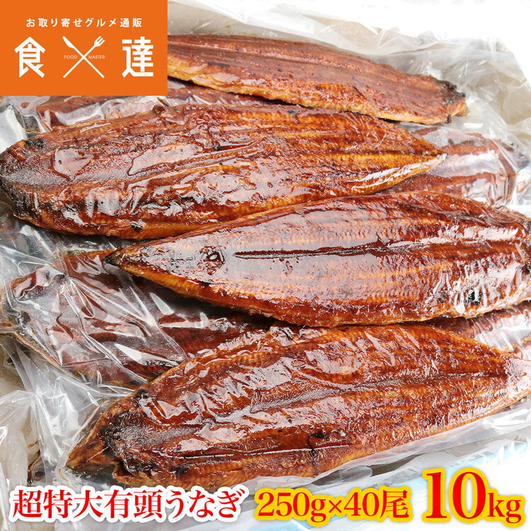 うなぎ 有頭腹開き 超特大約250g×40尾 10kg 業務用 送料無料 冷凍便 鰻 かば焼き お取り寄せ ギフト