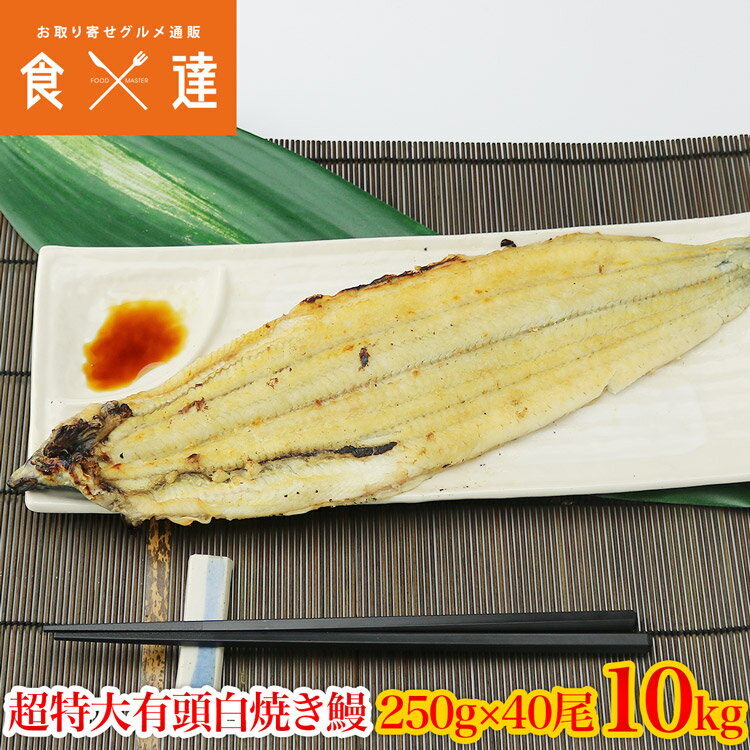 うなぎ 白焼き 有頭腹開き 超特大 250g×40尾 10kg 業務用 中国産 送料無料 冷凍便 鰻 お取り寄せ