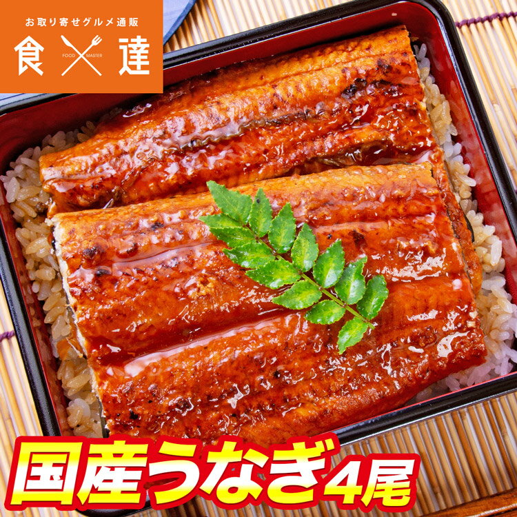 国産うなぎ 4尾 約150g ×4 鰻 うなぎ ウナギ 蒲焼 かば焼き 土用丑 土用 丑の日 スタミナ 夏 冷凍便 ギフト お取り寄せグルメ 食品